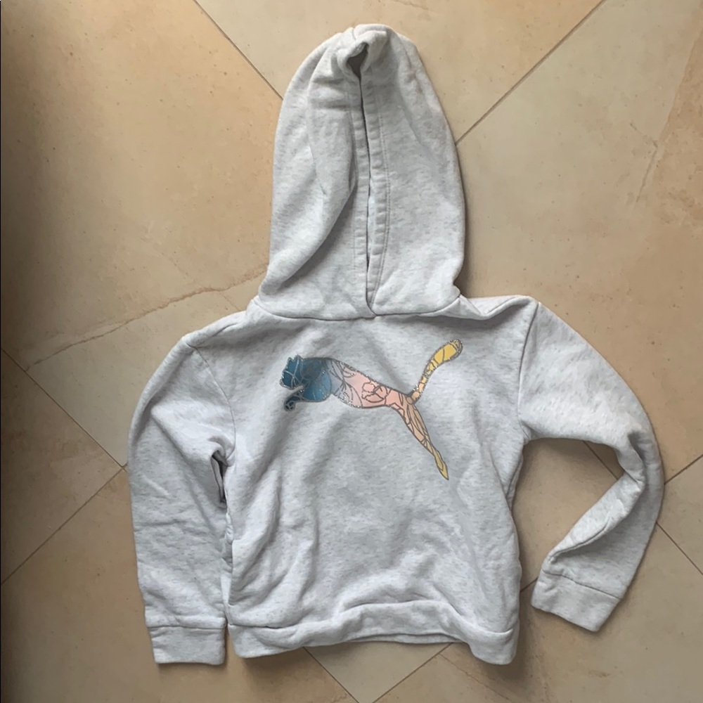 Kids Gray Hoodie with Colorful Puma Logo